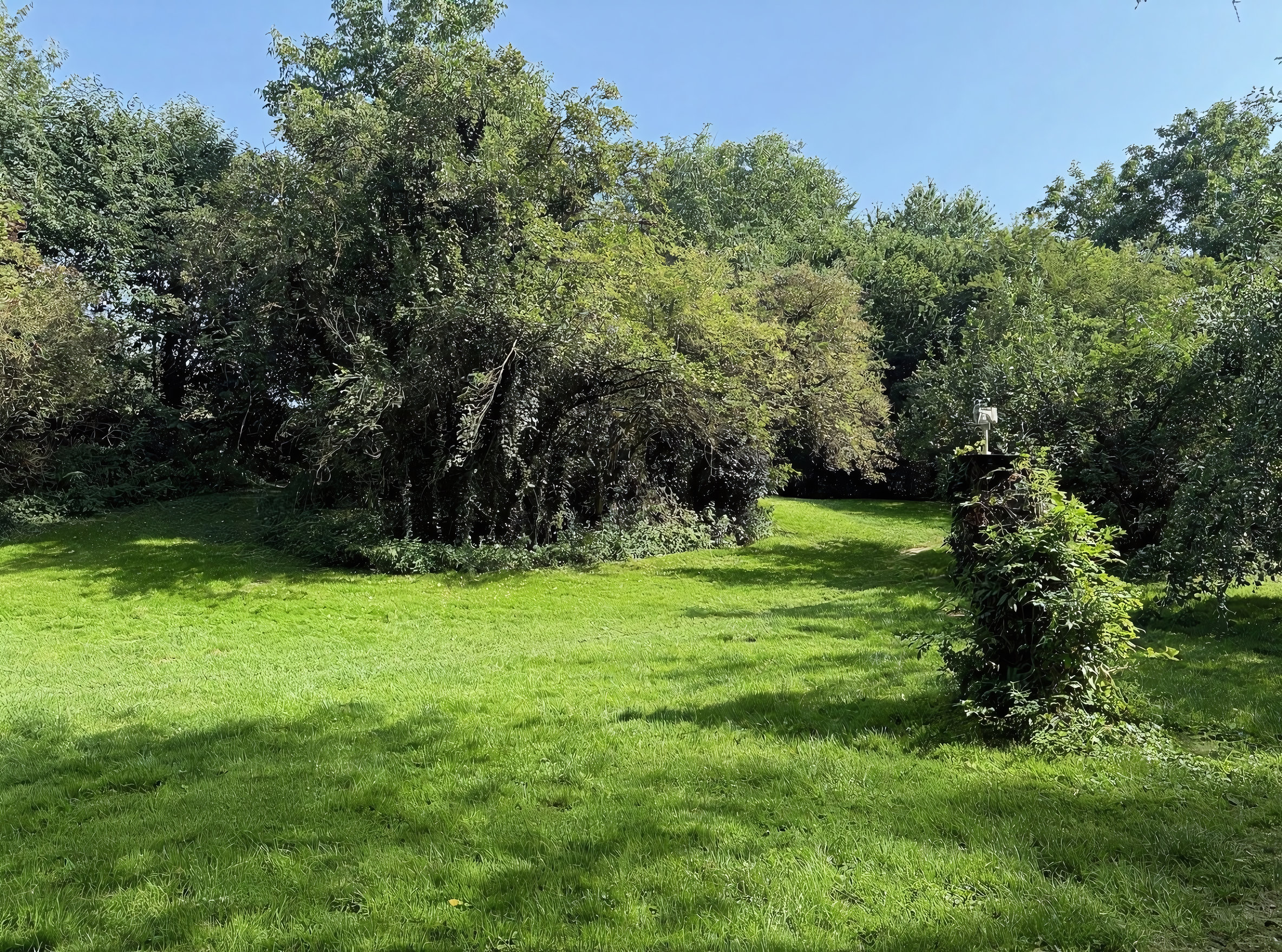 Tierpension Alte Mühle – Buchung anfragen